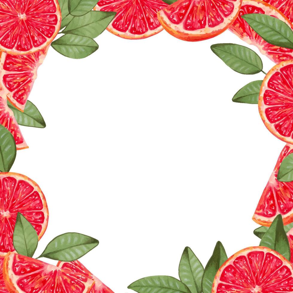 Square frame made of grapefruit. Fruit background from slices with leaves.Marker and watercolor illustration. Botanical healthy food. Design for food packaging, juices, menu. Isolated handmade art vector