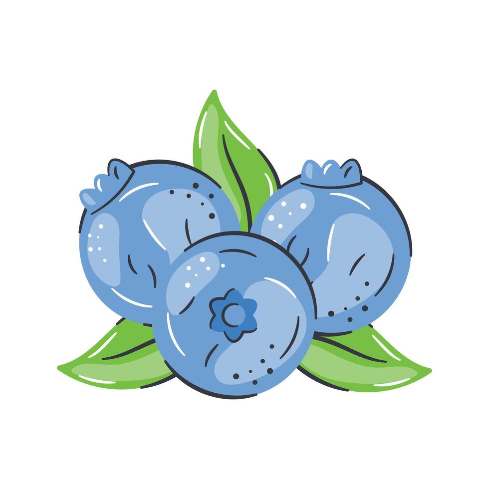 Trendy icon of blueberries, organic chokeberries, berries with leaf, healthy design vector