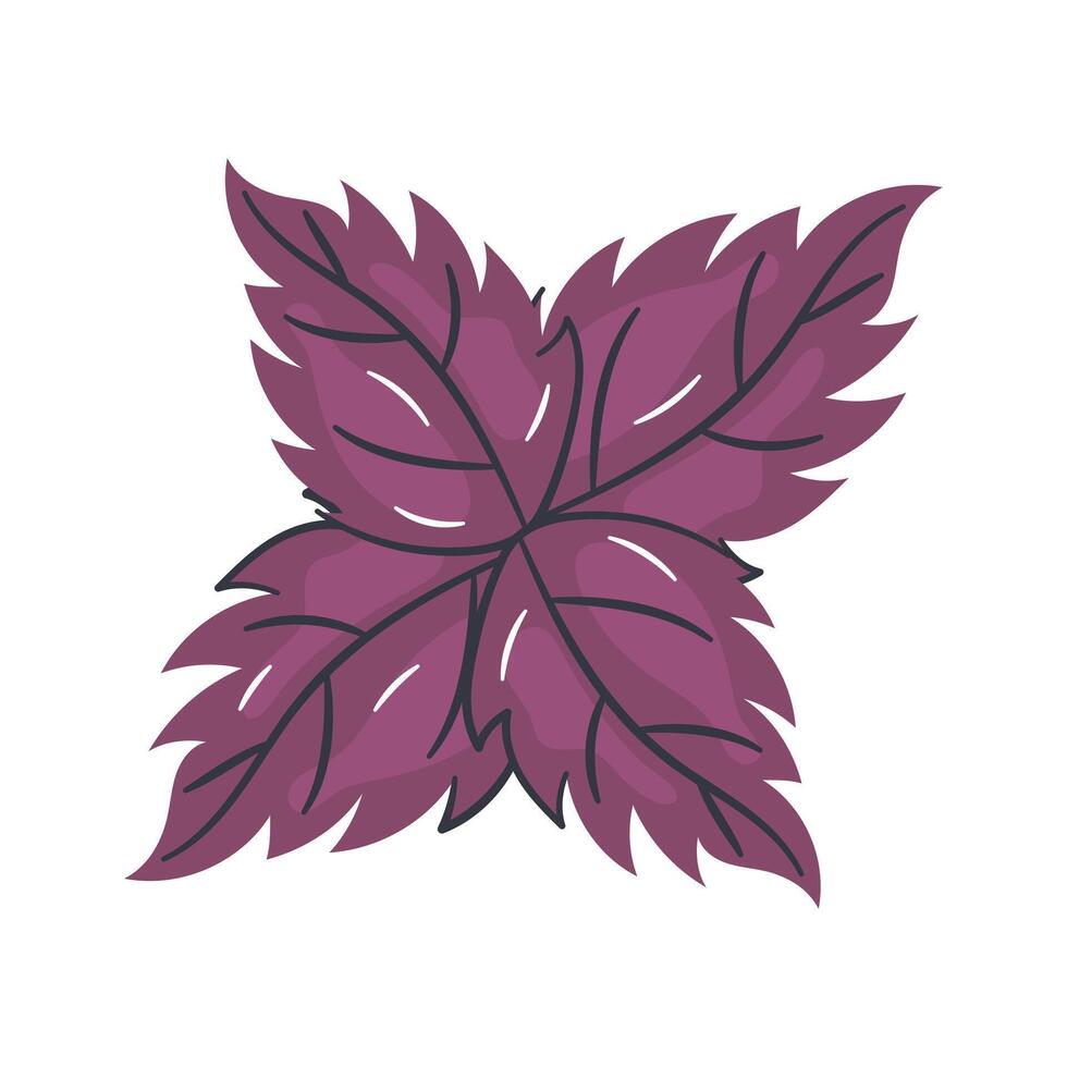 Red basil icon with vibrant leaves, representing a flavorful aromatic herb vector