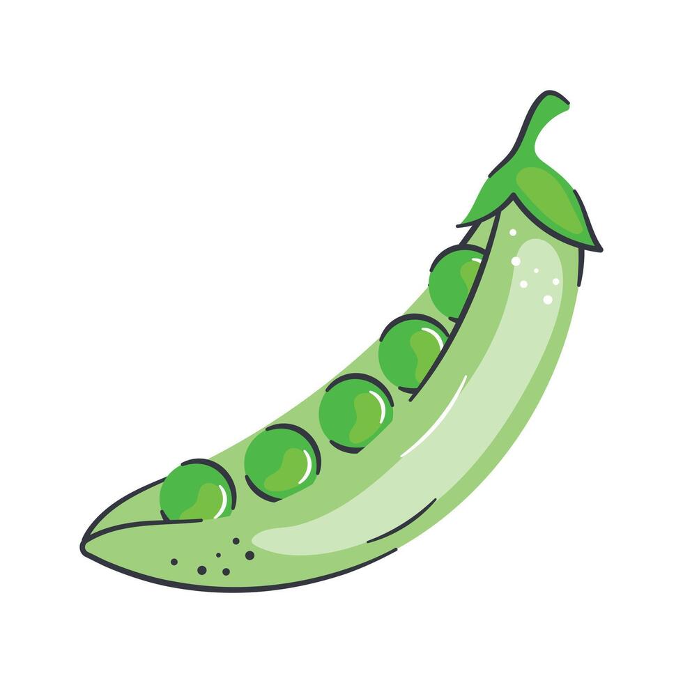 A spherical green seed that is eaten as a vegetable or as a pulse when dried, peas design vector