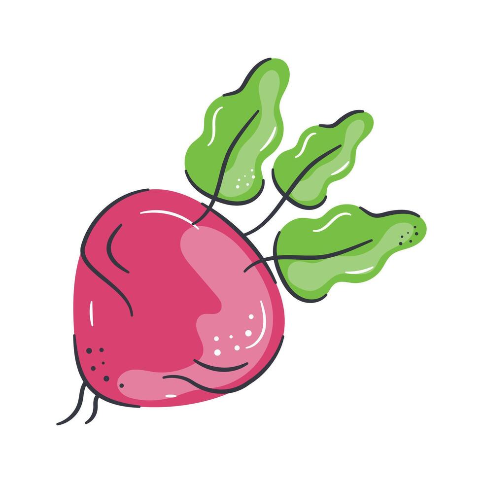 Beautifully designed icon of beetroot, healthy root vegetable vector