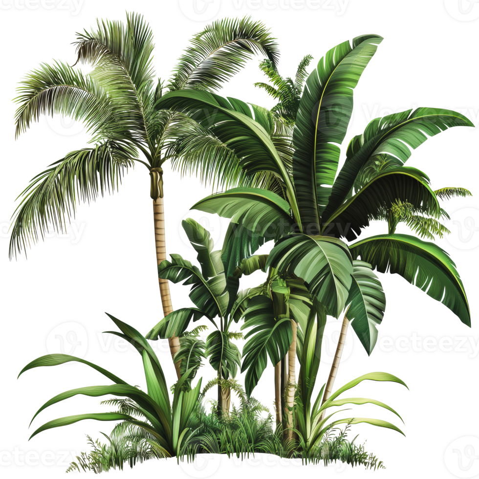 Lush tropical plants in a sunny outdoor setting png