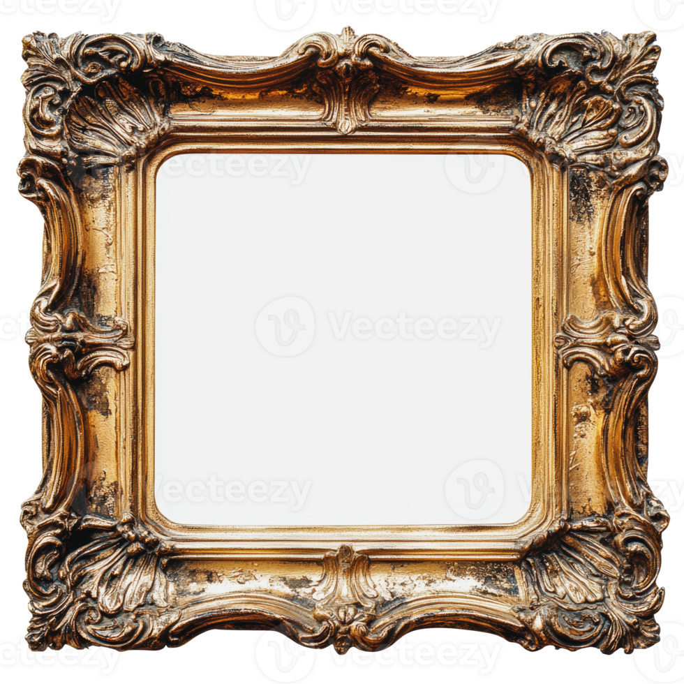 Ornate gilded picture frame with blank interior png