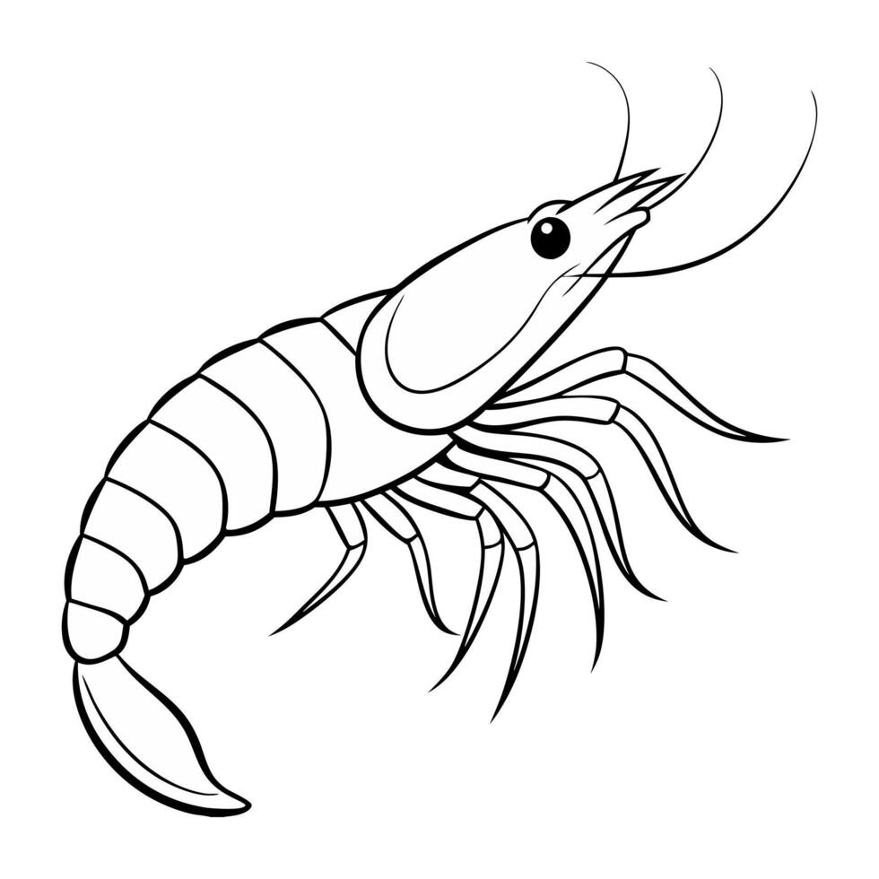 Creative Prawn Art Black and White vector