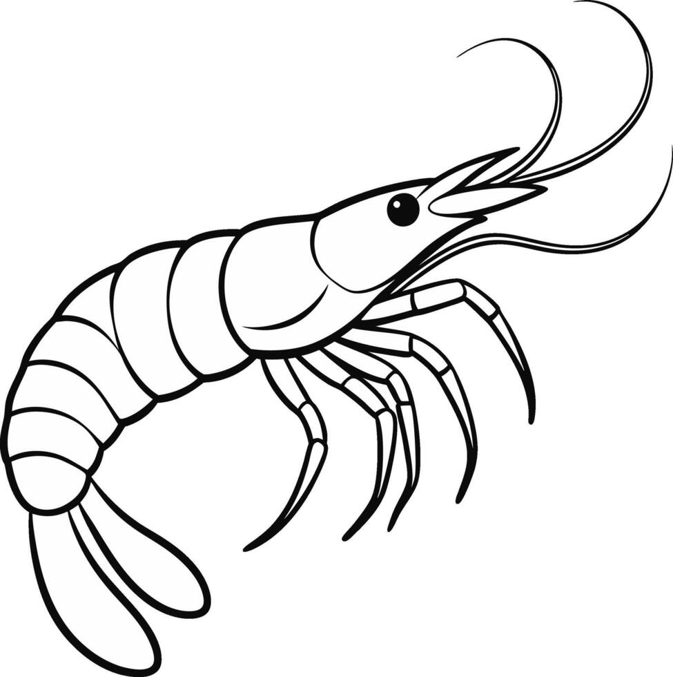 Black and White Shrimp Illustration silhouette vector