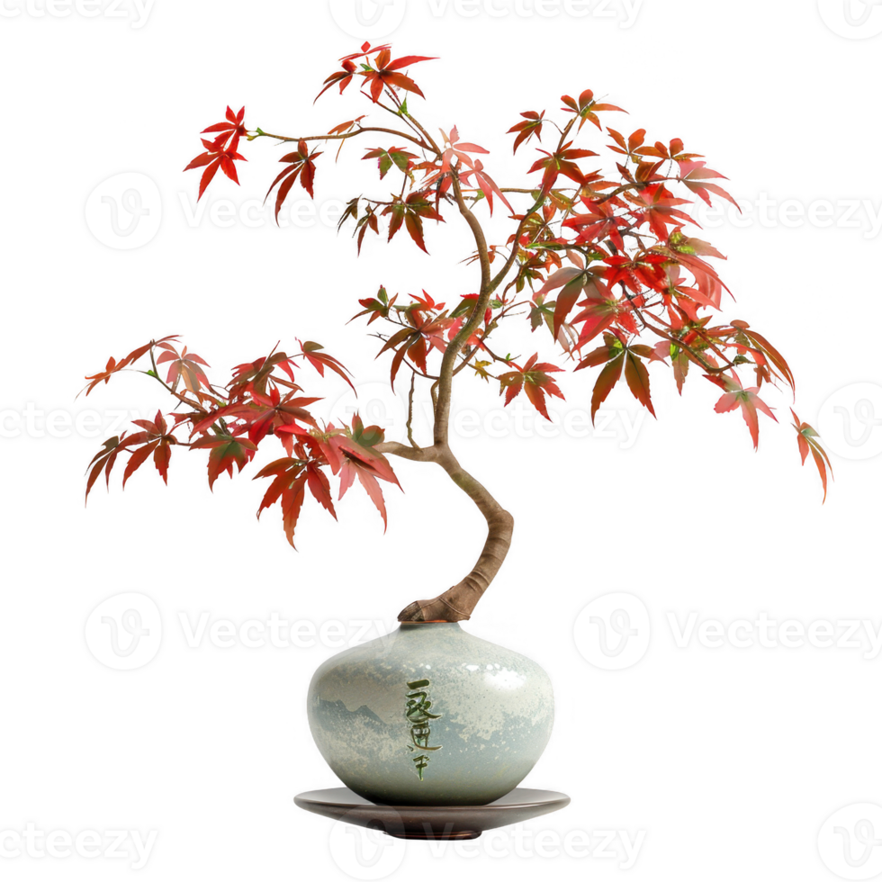 Ultra realistic UHD Japanese maple branches in Ikebana vase portrait png