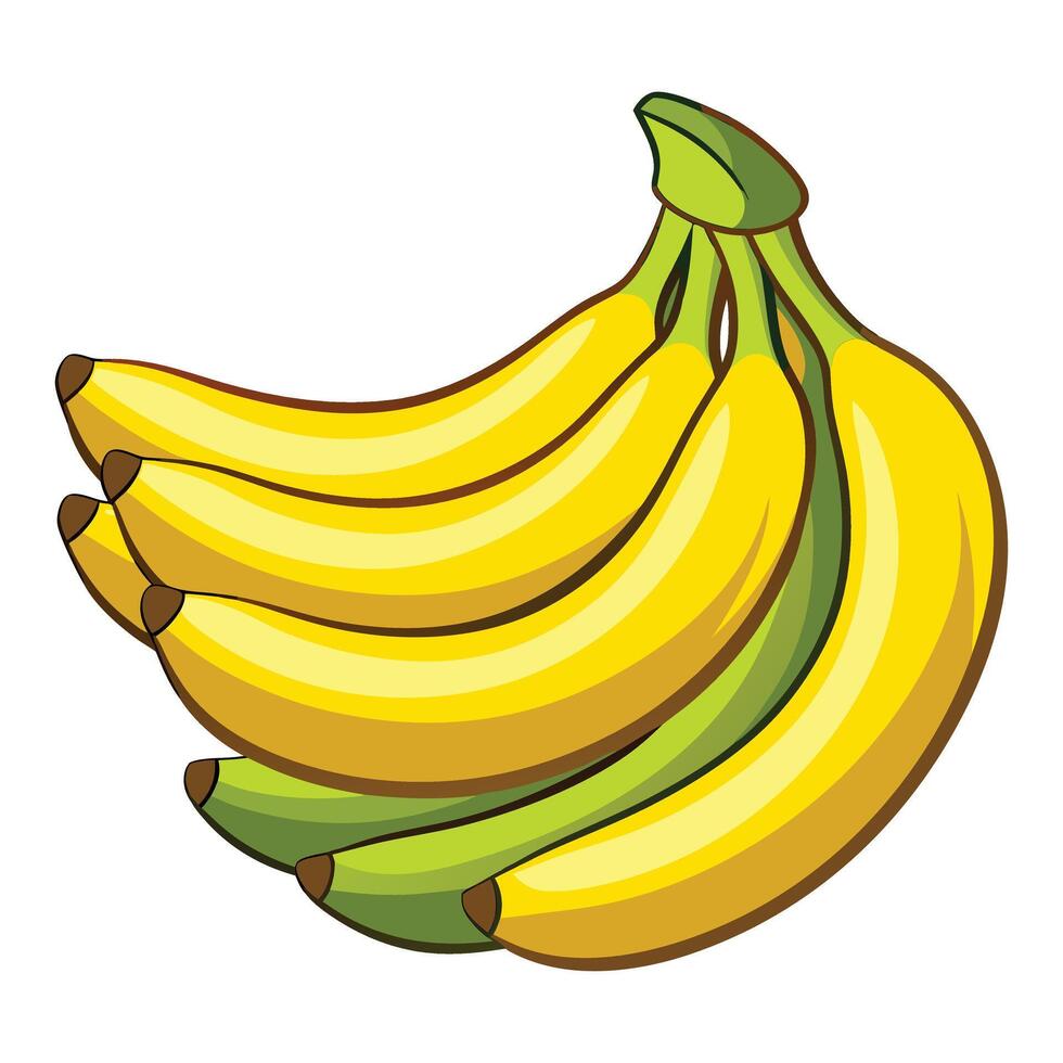 Ripe Banana Bunch Illustration vector