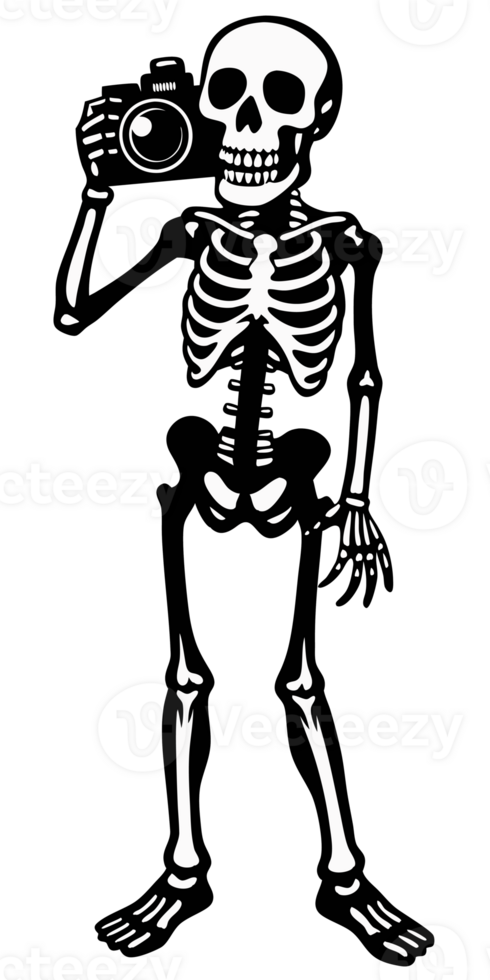 A skeleton holding a camera png