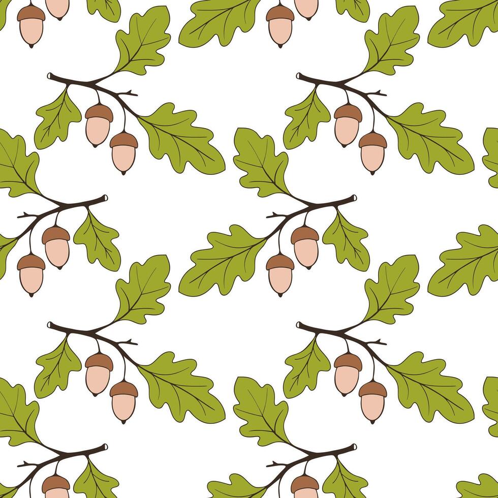 Autumn pattern with oak branch with green leaves and brown-pink acorns, on white background. vector