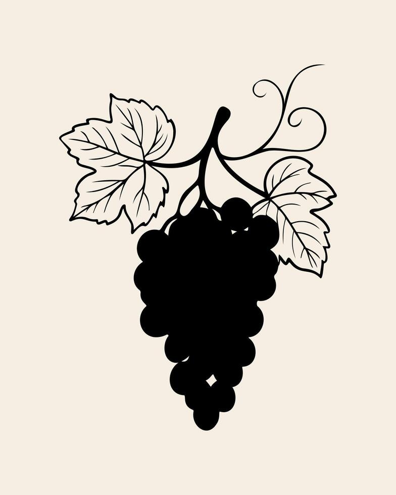 Silhouette of bunch grapes vine, on white background. Element design, logo, icon. vector