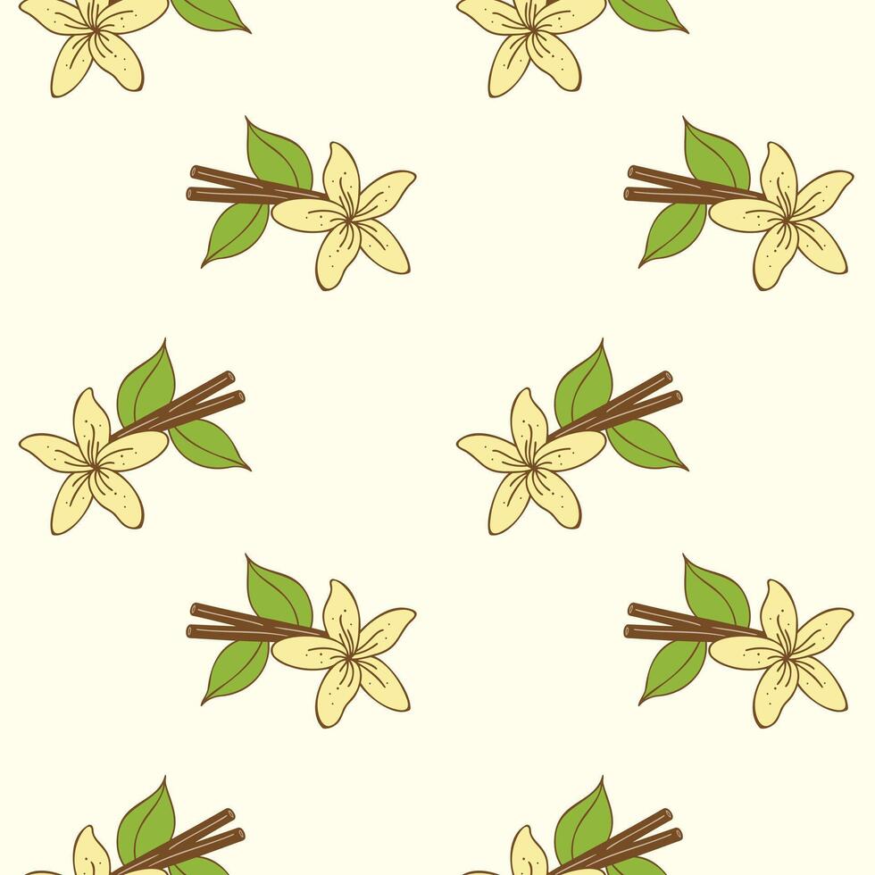 Pattern Cinnamon sticks and vanilla flower doodle color drawing on pastel beige background vector