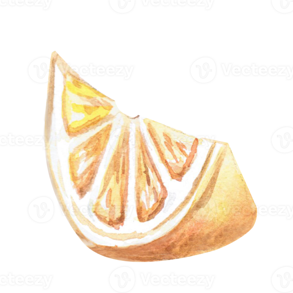 A slice of juicy lemon in a watercolor illustration. Fruit-themed illustration for printing on fabric, posters, cookbooks. The illustration is isolated from the background. png