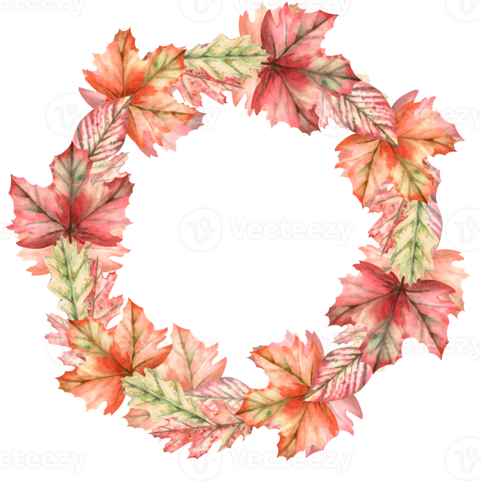 Round frame-wreath of autumn maple and oak leaves. Watercolor illustration on the theme of autumn for posters, exhibitions, fairs, holidays. Illustration isolated from the background. png