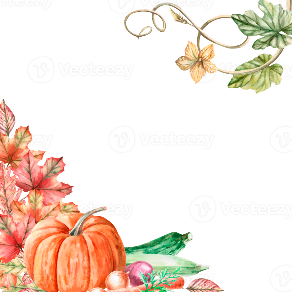 Square frame with pumpkin, autumn leaves, zucchini, beetroot, carrot in watercolor illustration. Harvest theme composition for exhibitions and fairs. Illustration isolated from background. png