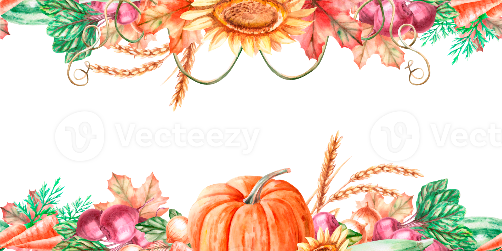Seamless frame with pumpkin, wheat, sunflower, leaves, squash, beetroot, carrot in watercolor illustration. Harvest theme composition for exhibitions and fairs. Illustration isolated from background png