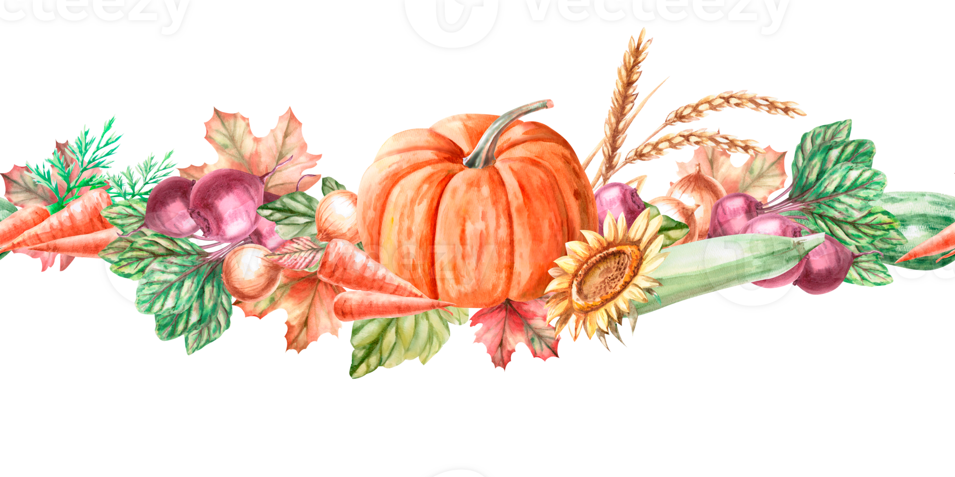 Seamless border with pumpkin, wheat, sunflower, beetroot, carrot in watercolor illustration. Harvest theme composition for exhibitions and fairs. Illustration isolated from background. png