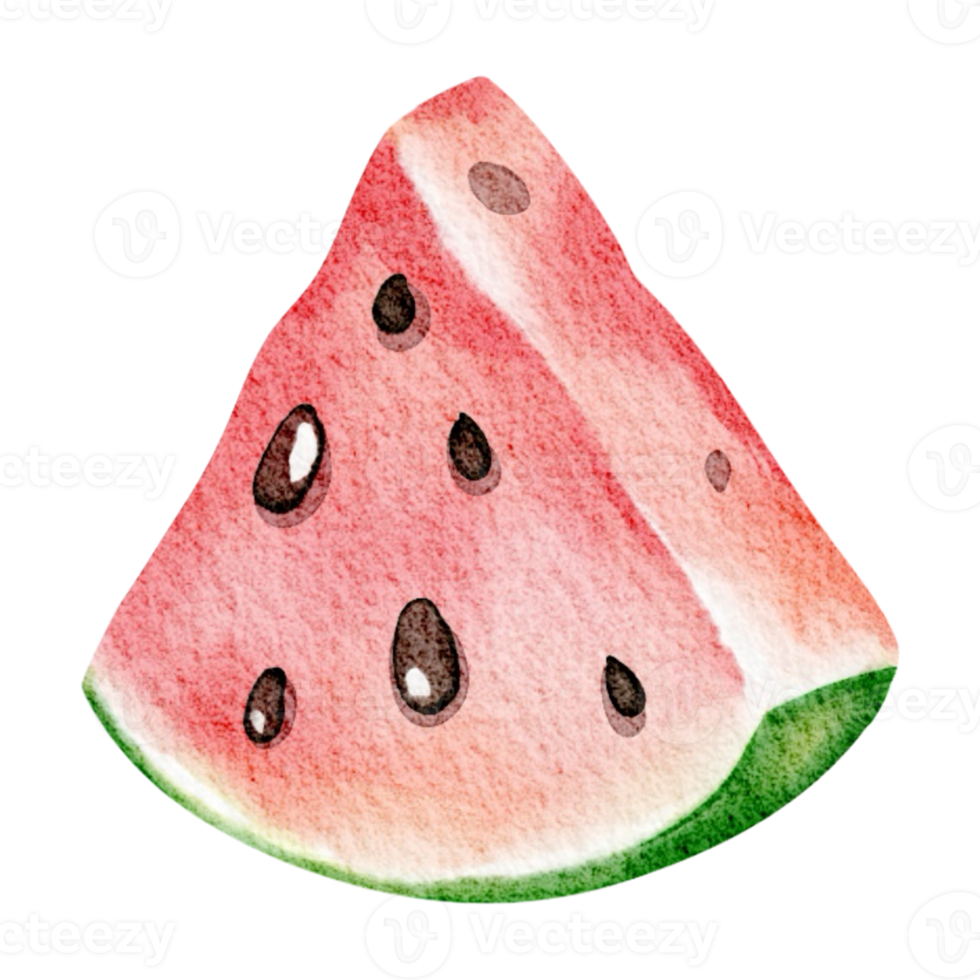 Watercolor Watermelon Slice illustration on isolated background. Hand drawn summer fruit berry for production label. Sliced juicy tropical dessert. Food design for postcard. png