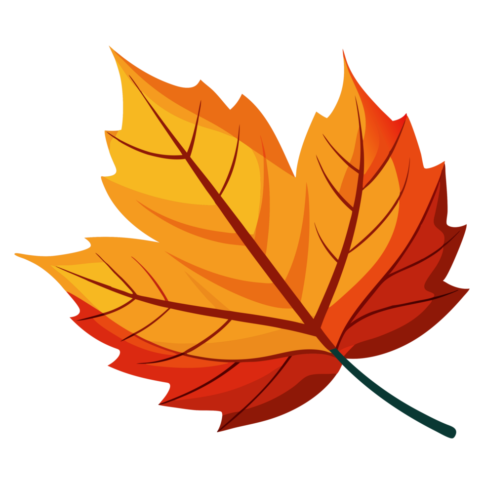 Orange autumn maple leaf illustration isolated on the transparent background png