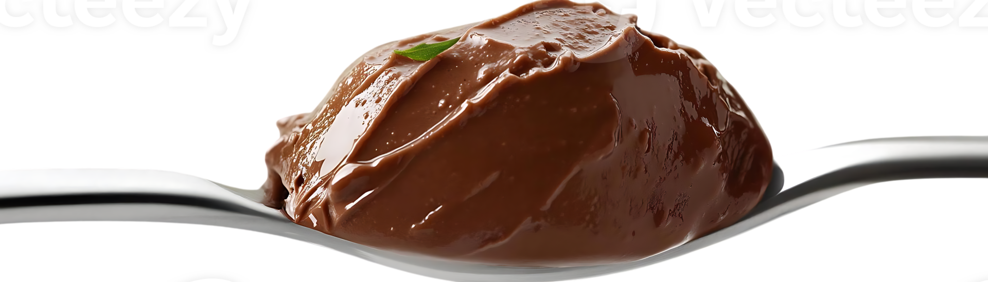 Chocolate Pudding on a Spoon with Transparent Background, Delicious Dessert with a Subtle Green Garnish png