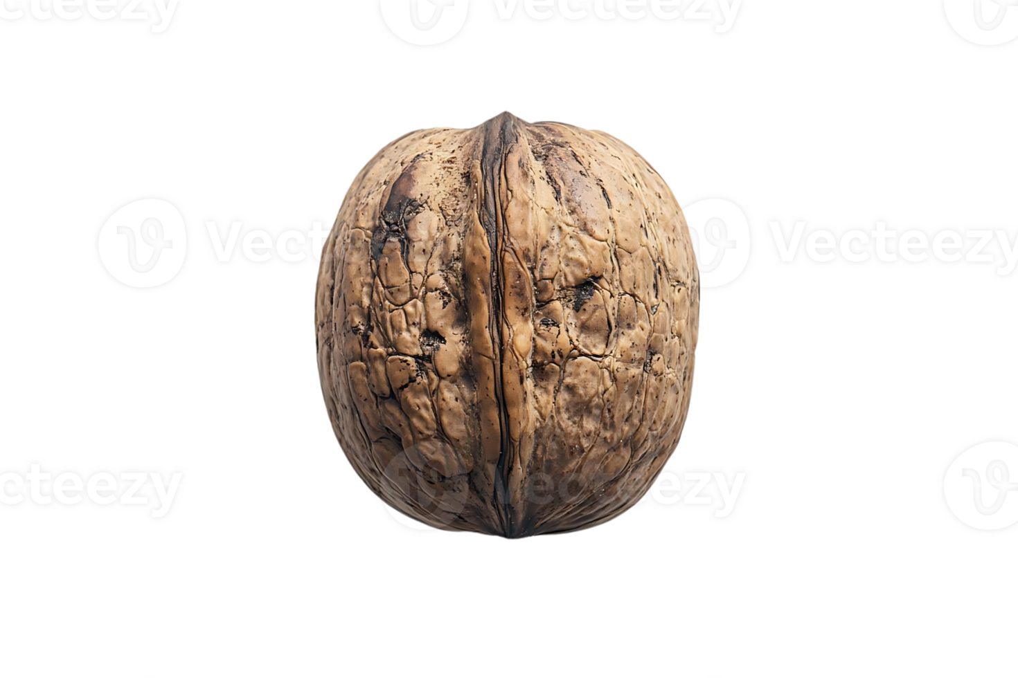 A Single Walnut Isolated on a Transparent Background, Showcase the Delicate Texture and Natural Beauty png