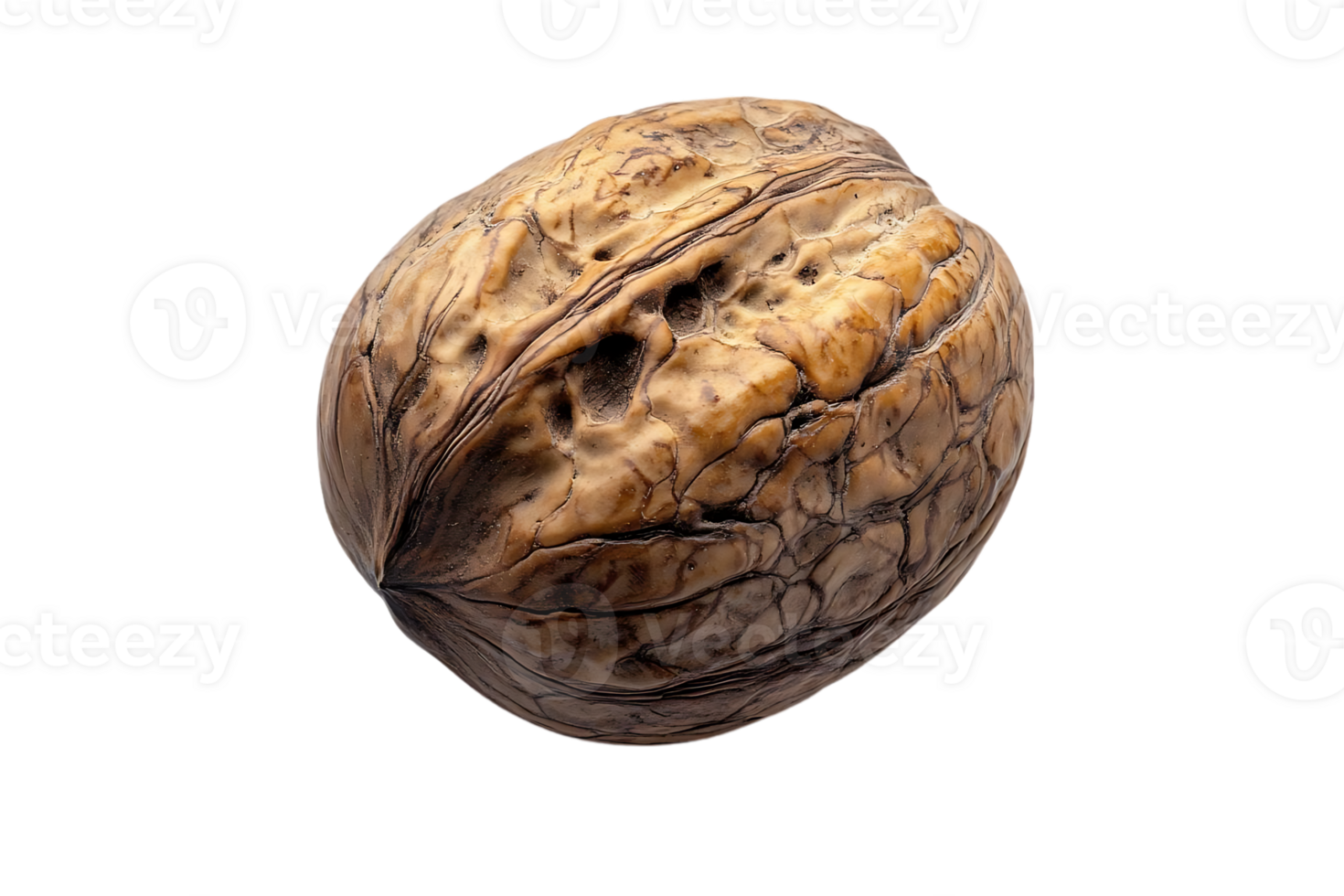 A Single Walnut with a Transparent Background png