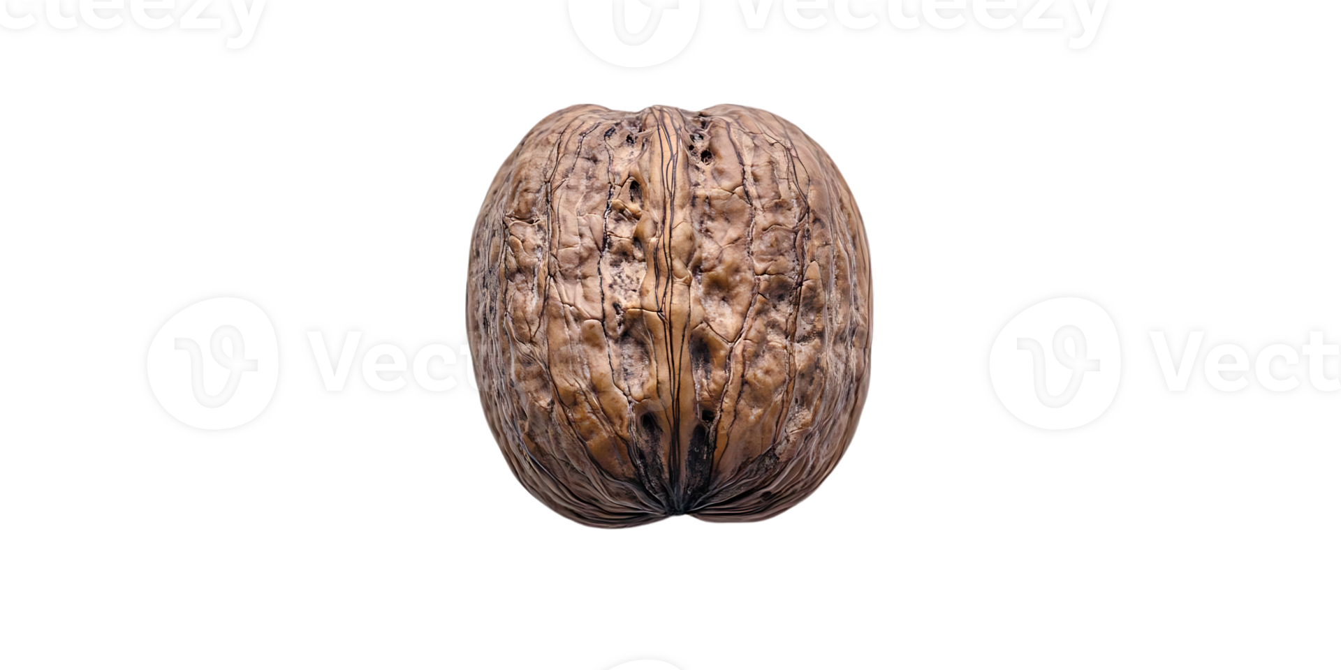 A Close-Up View of a Walnut Shell with a Transparent Background png