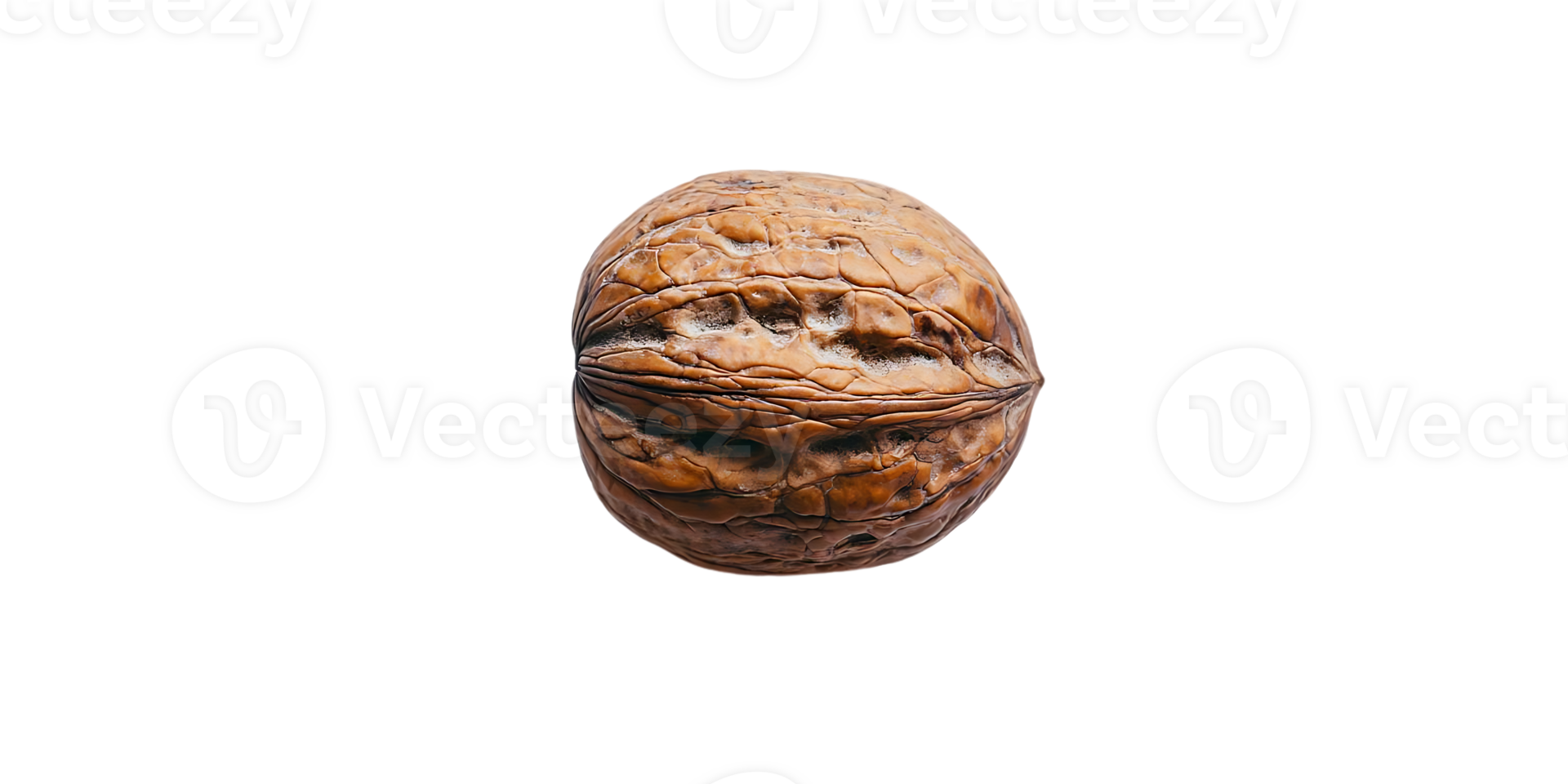 A Single Walnut Shell Isolated on a Transparent Background png