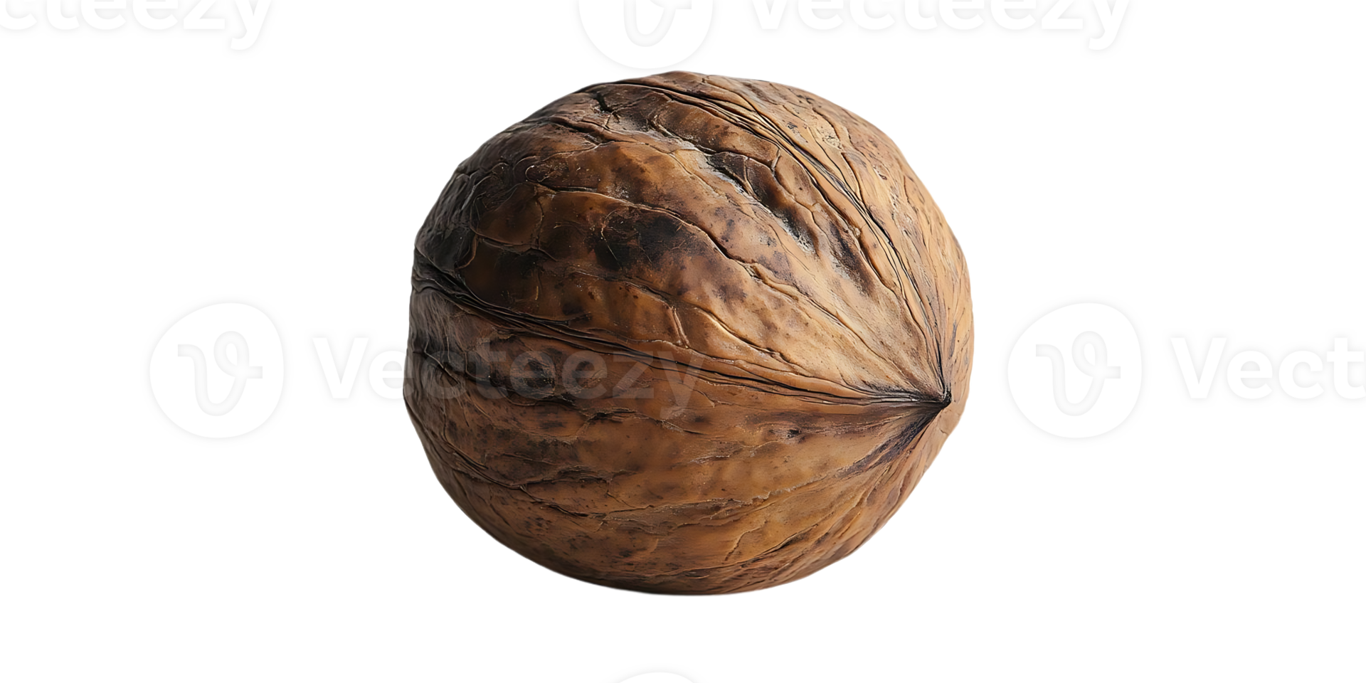 A Single Walnut with a Transparent Background, Close-up Image of a Walnut Shell with Rich Brown Color and Wrinkled Texture png