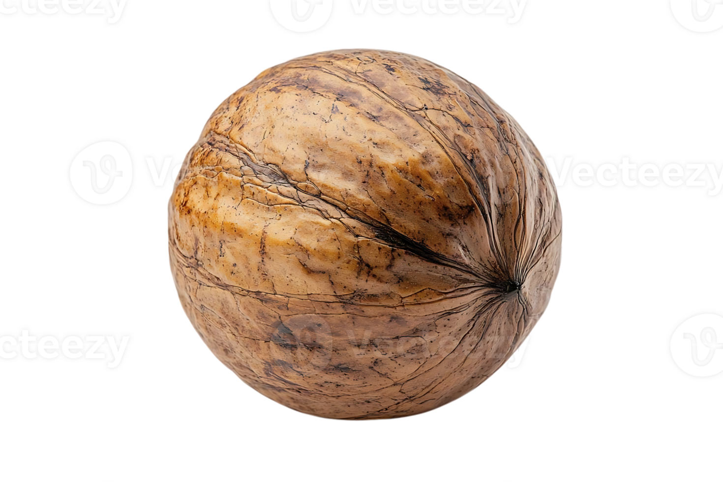 A Single Walnut Shell with a Transparent Background png