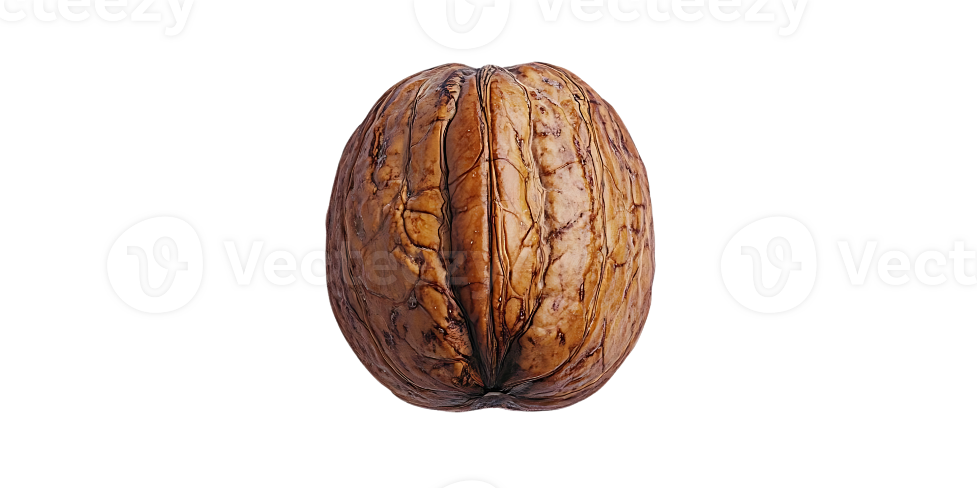 A Single Walnut Shell Isolated on a Transparent Background, Perfect for Digital Design Projects png