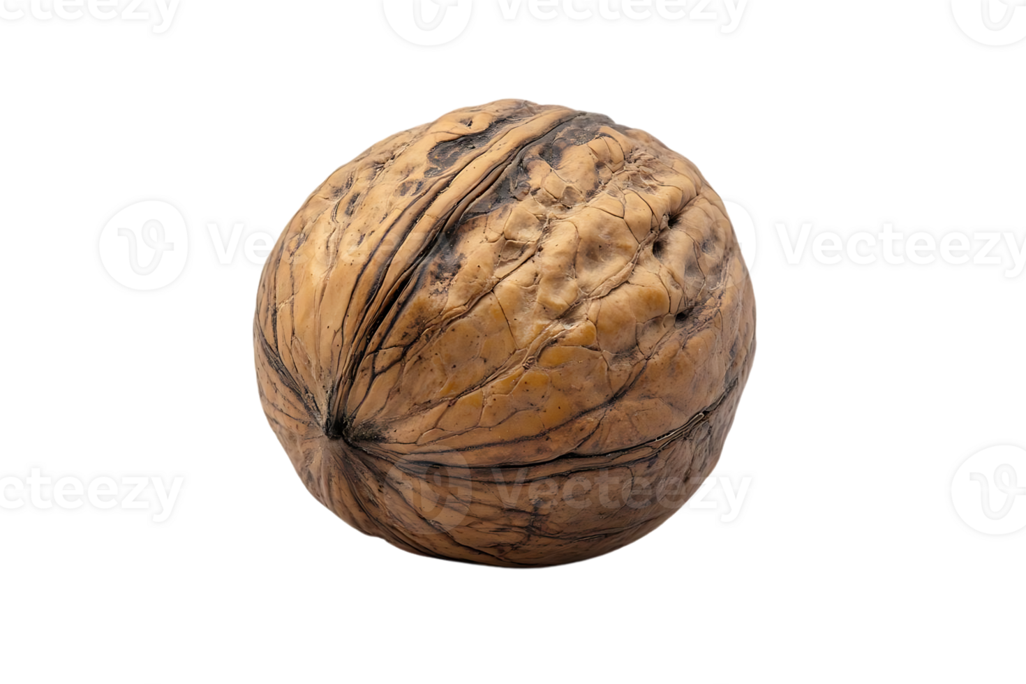 A Single Walnut with a Transparent Background, Isolated on Black png