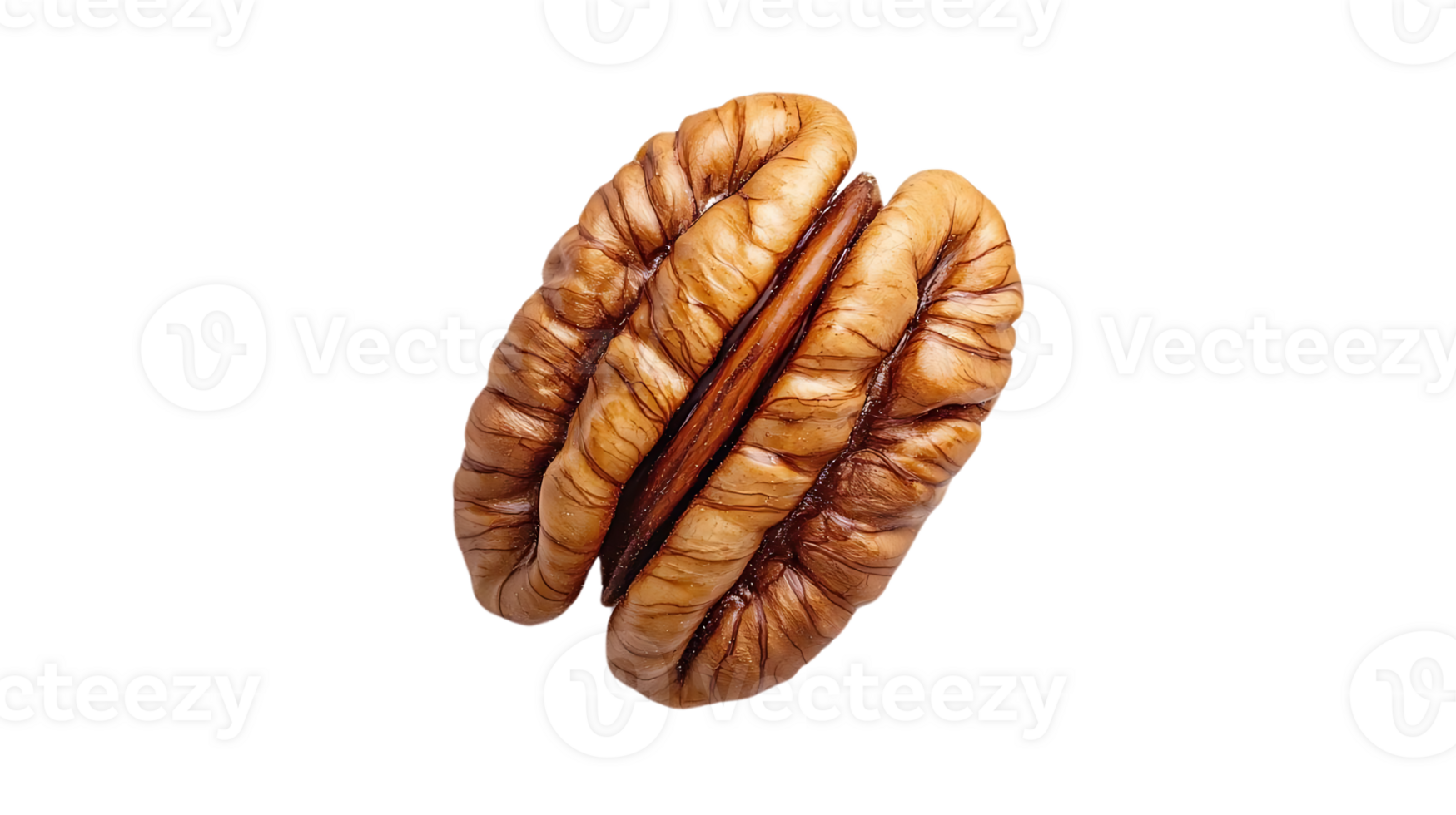Pecan Nut with a Transparent Background, Isolated on Black, Perfect for Your Projects png