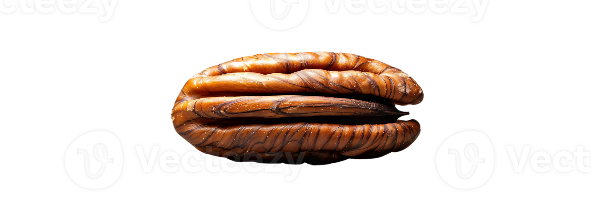 Pecan Nut Isolated on Transparent Background A Close-up View of a Single Pecan with a Smooth, Brown Shell Against a Translucent Background, Showcasing the Nut's Detailed Texture and Pattern. png