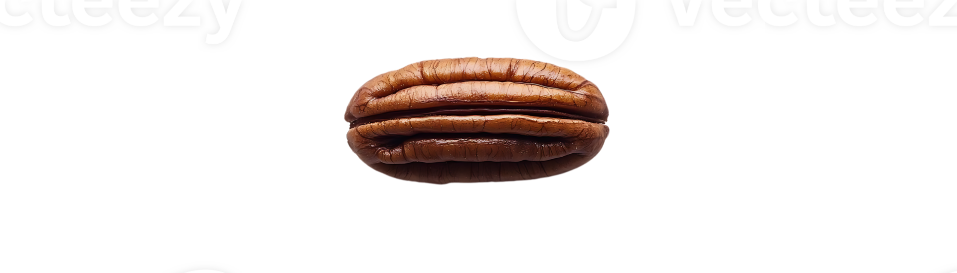 Pecan Nut with Transparent Background, Isolated on Black, High Quality, Single, Brown Shell, Organic Pecan, Nut Image, Pecan Nut Macro, Food Photography, Nature Photography, Macro Photography png