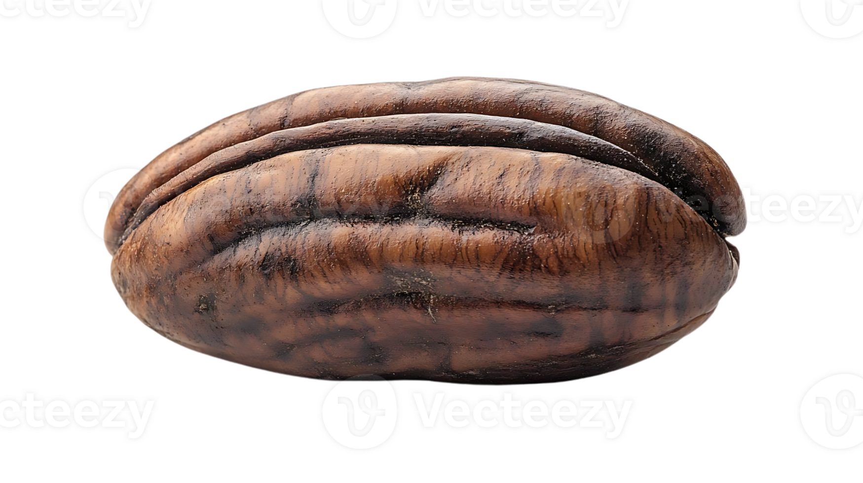 A Single Pecan Nut with a Transparent Background, A Delectable and Versatile Nut with a Rich Flavor and Health Benefits png