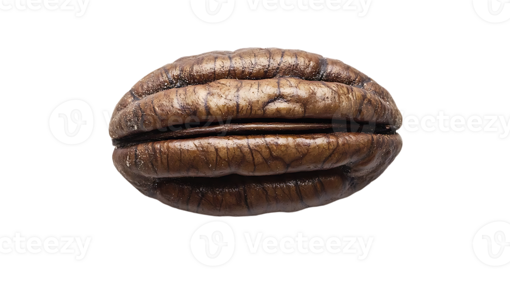 Pecan Nut with a Transparent Background, A Delectable and Delicious Treat png