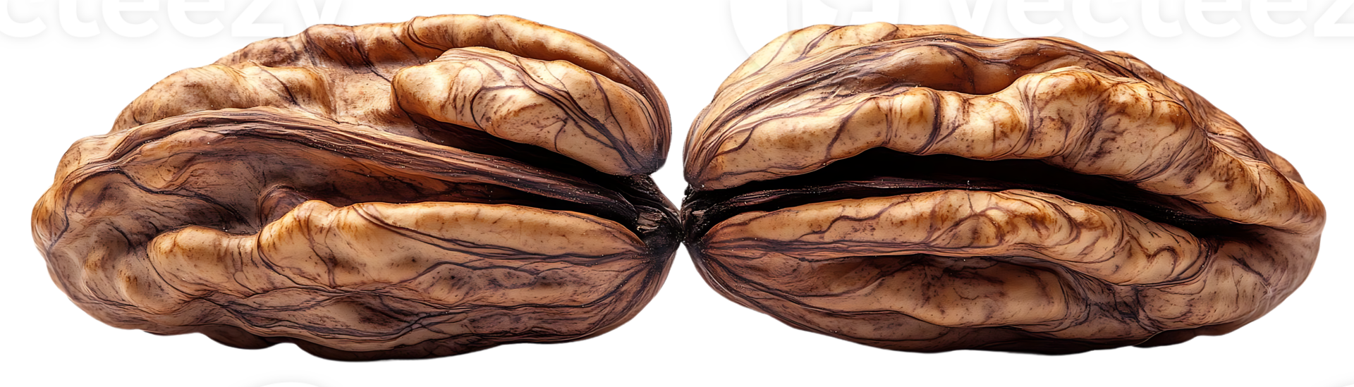 Walnut Shells with Transparent Background - The Intricate Veins and Textures of a Cracked Walnut Shell png