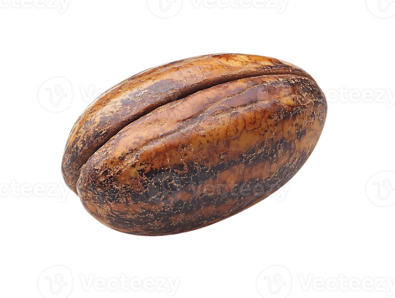 A Close-Up of a Single Coffee Bean with a Transparent Background png
