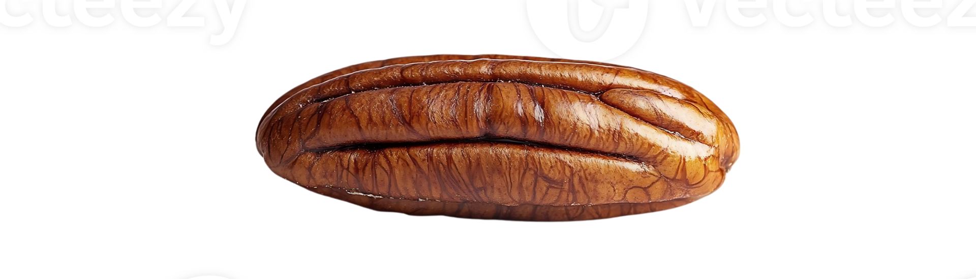 Pecan Nut with Transparent Background, Isolated on Black - A Single, Delicious Pecan Ready for Your Next Recipe png