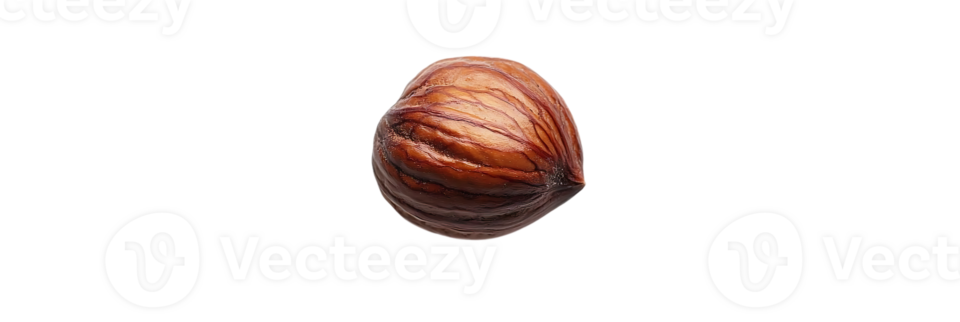 A Single Hazelnut Isolated on a Transparent Background png