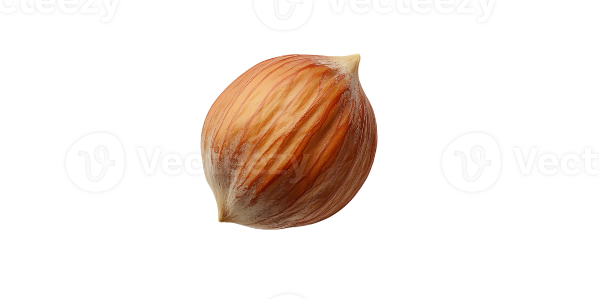 A Single Hazelnut, Isolated on Transparent Background, with Delicate Texture and Rich Brown Hues. png