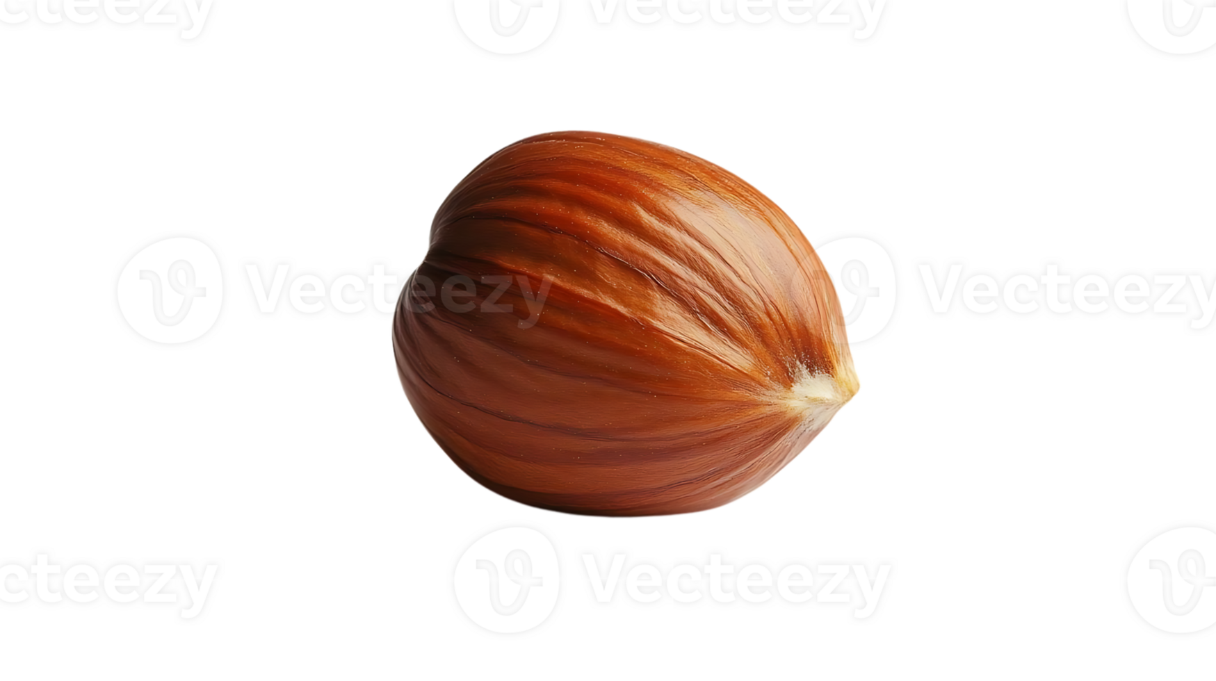 A Single Hazelnut with a Transparent Background, Isolated on Black png