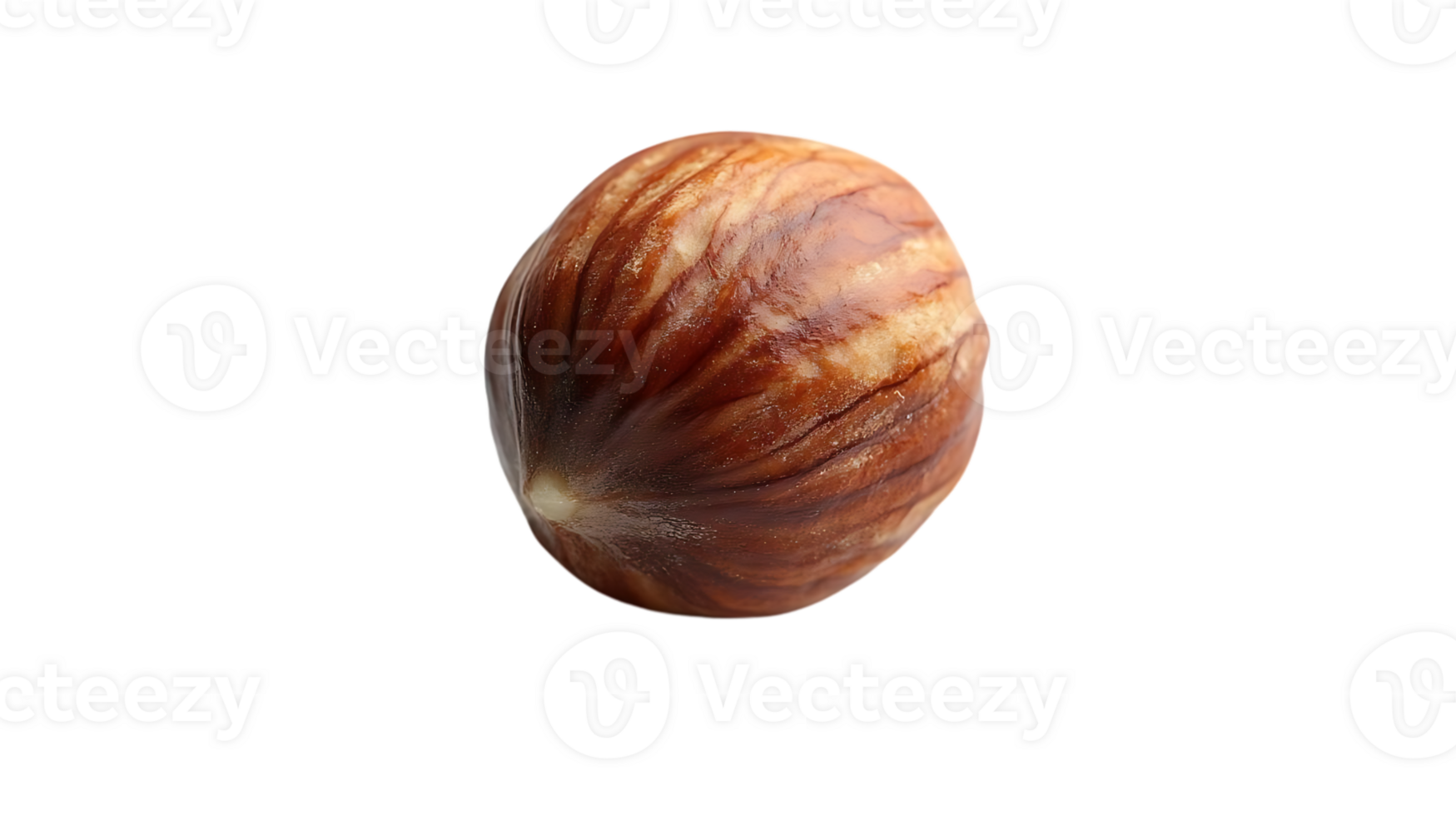 Hazelnut with a Transparent Background, a Single Nut Isolated on Black png