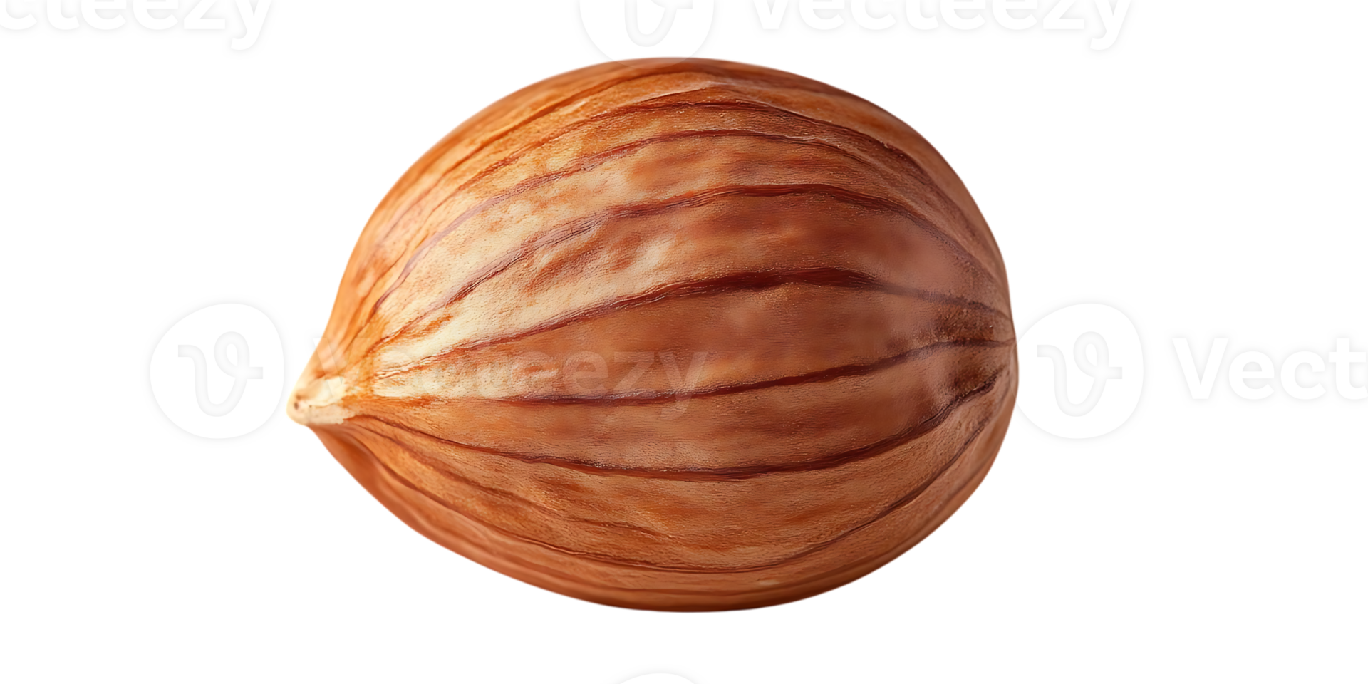 Single Hazelnut Isolated on Transparent Background, Brown Nut with Fine Lines, Close Up Macro Shot,  Gourmet Food, Ingredient, Snack png