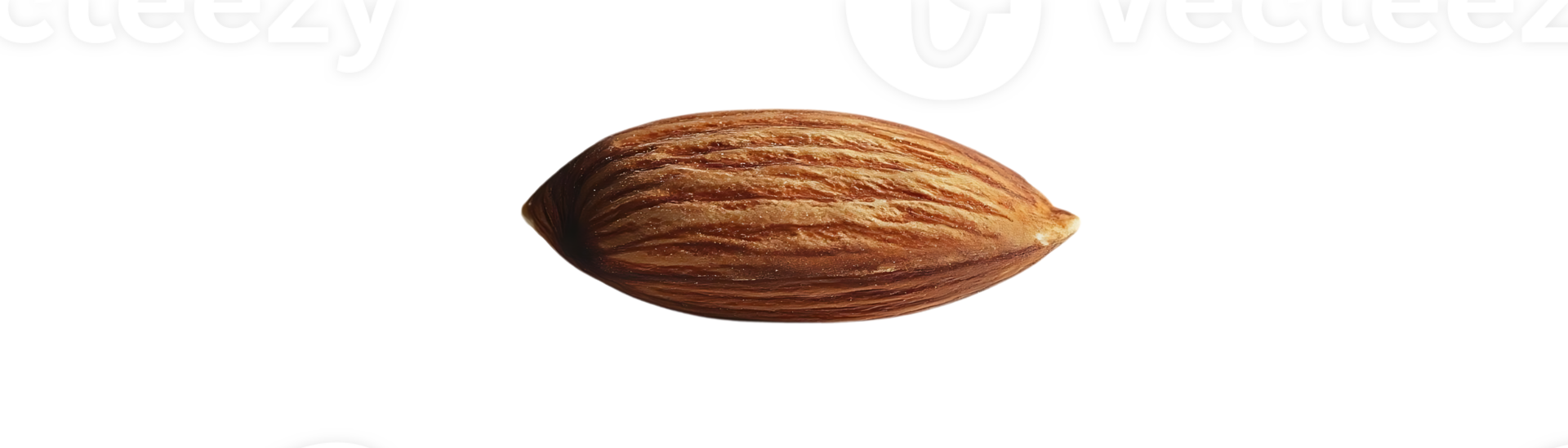 A Single Almond on a Transparent Background - Isolated Nut with Brown Lines and Detailed Texture png