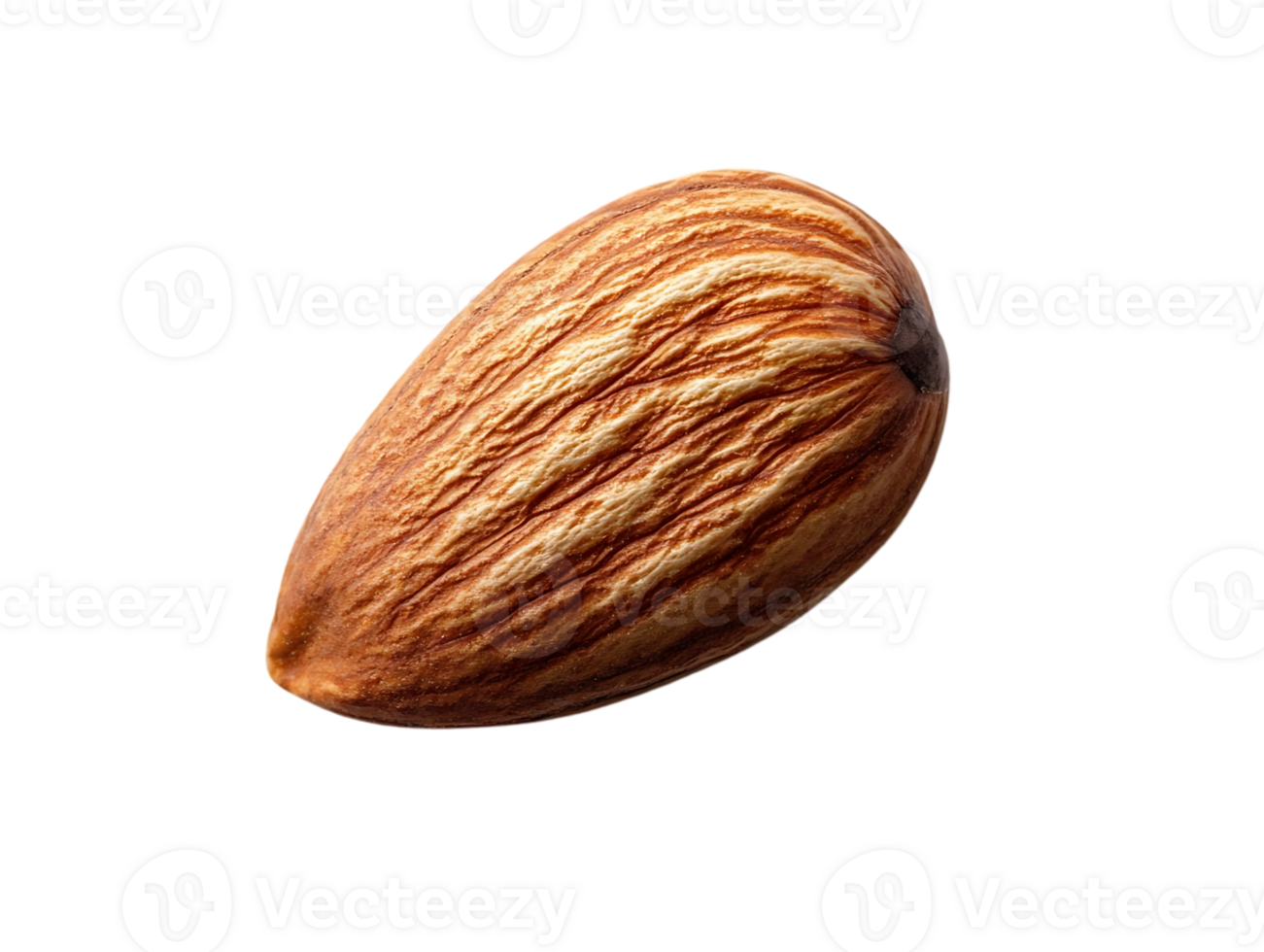 Single Almond Nut Isolated on Transparent Background, Perfect for Graphic Design and Food Photography Projects png