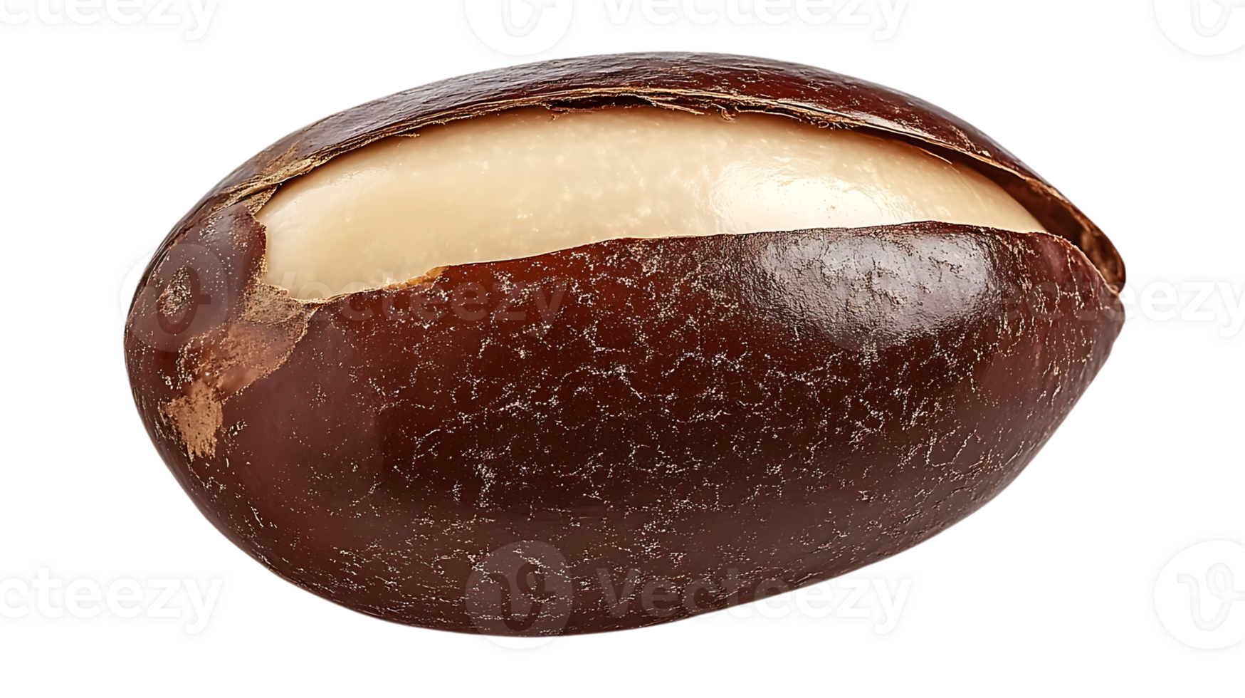 A Close-Up View of a Brown Argan Nut, Cracked Open to Reveal Its Creamy White Kernel, Isolated on a Transparent Background png