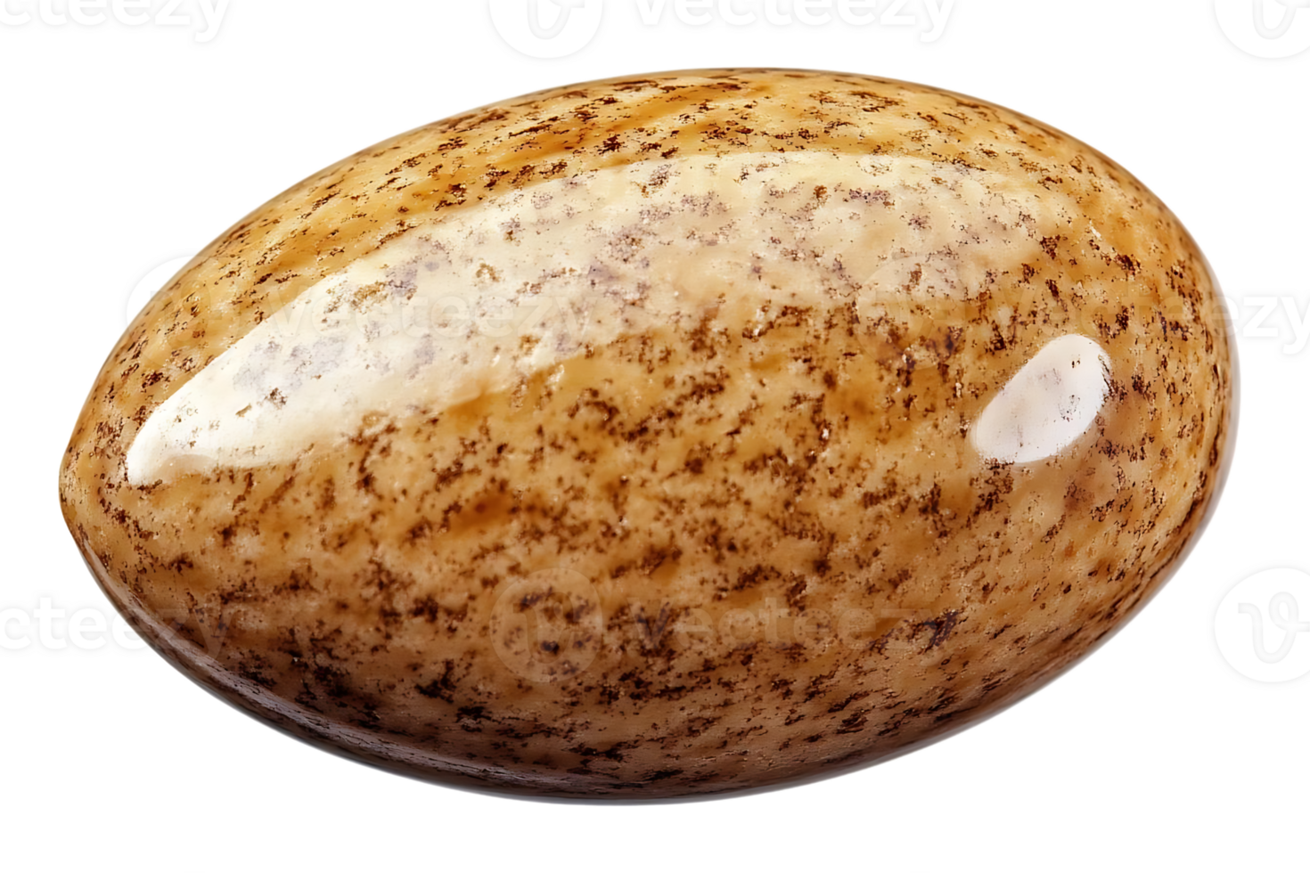 A Close-Up of a Speckled Brown Egg on a Transparent Background png
