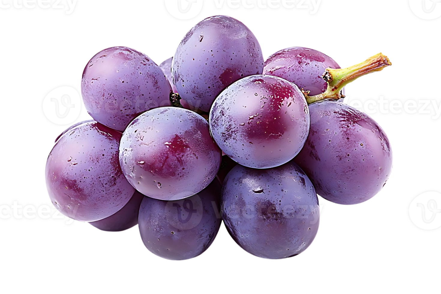 A Bunch of Purple Grapes with Water Droplets on a Transparent Background png