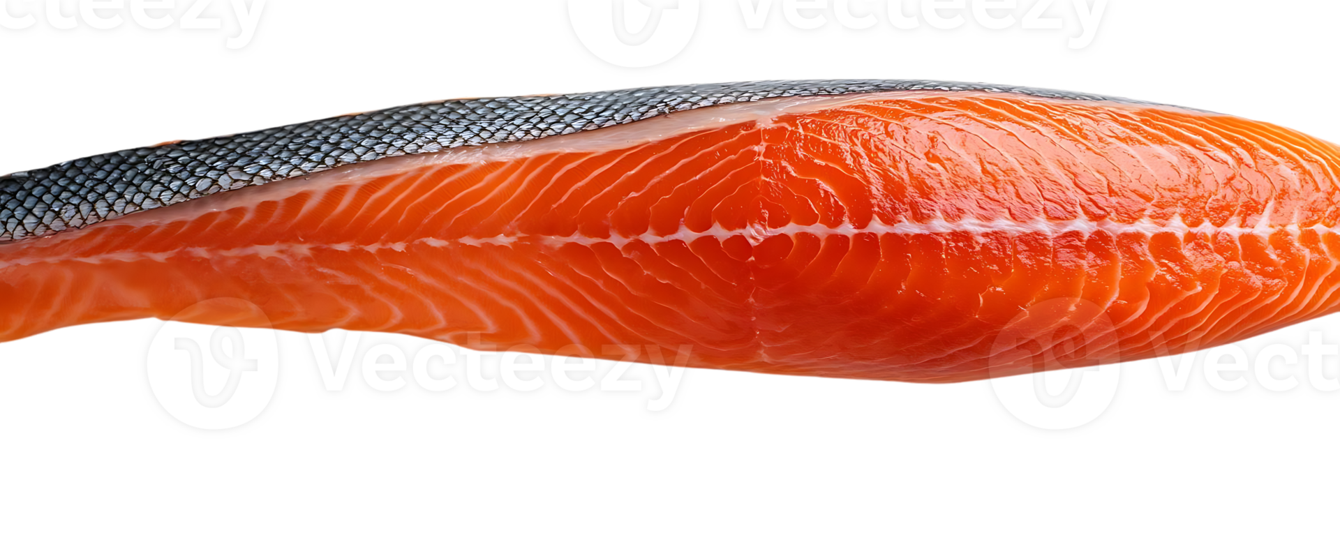Fresh Salmon Fillet with Transparent Background, Ready for Your Culinary Creations png